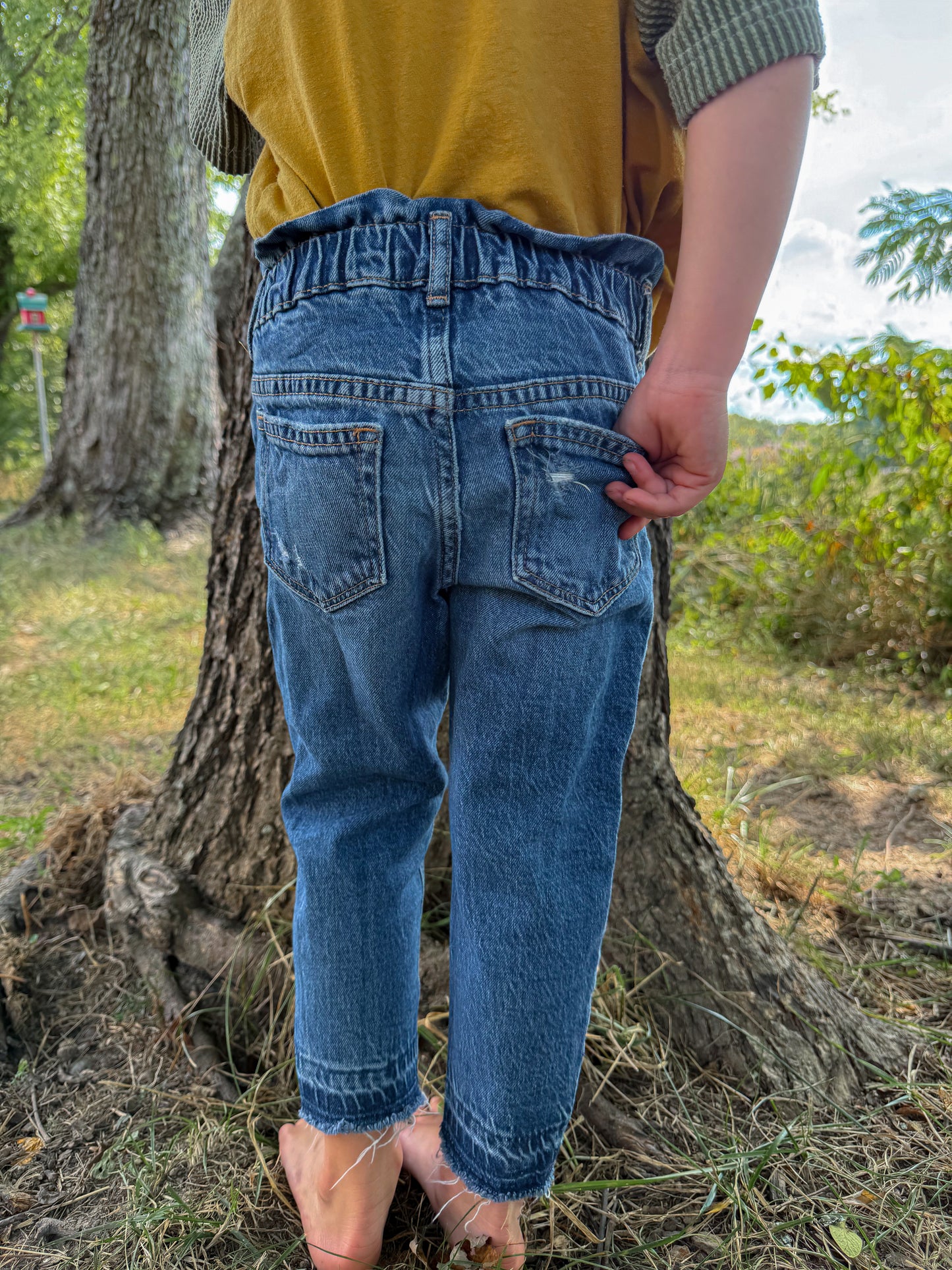 Pine Forest Denim